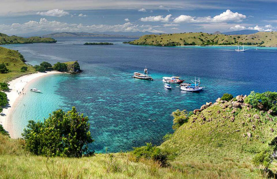 The island is home to a unique ecosystem that includes not only the Komodo dragons but also a variety of other wildlife such as deer, wild boar, water buffalo, and various bird species. The island's landscape is dominated by rugged hills, savannah grasslands, and dense forests, making it an ideal destination for nature lovers and adventure seekers.